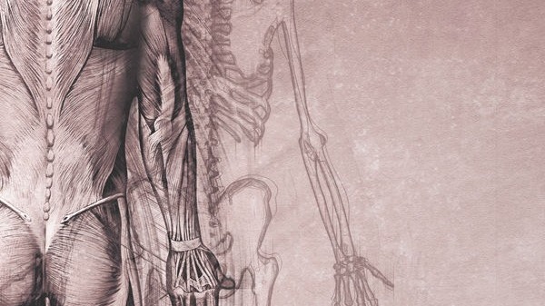 Physiotherapie in der Traumatologie