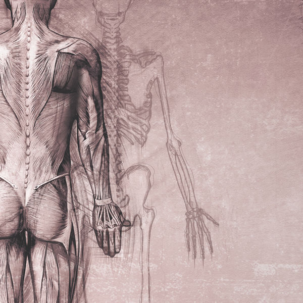 Physiotherapie in der Traumatologie
